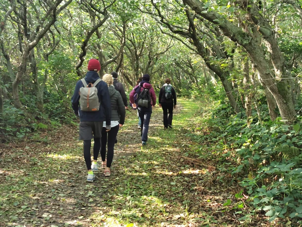 Waldwanderung mit Johanna Katzera
