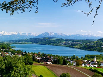 Seengen_Eichberg_Panorama