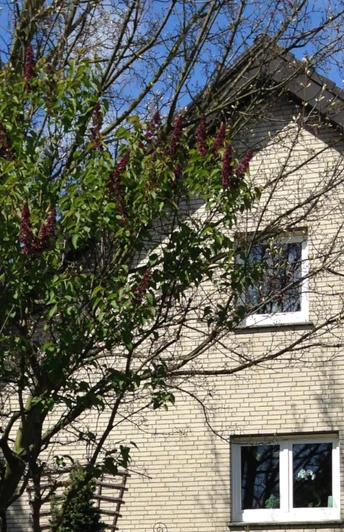 Ferienwohnung An der alten Kapelle Außenansicht