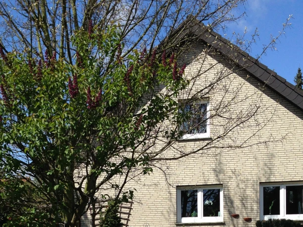 Ferienwohnung An der alten Kapelle Außenansicht