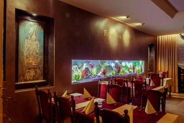 In einem elegant dekorierten Restaurant an einer dunklen Wand glänzt ein beleuchtetes, buntes Aquarium.