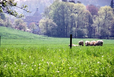 LauensteinerRunde_45-8.jpg