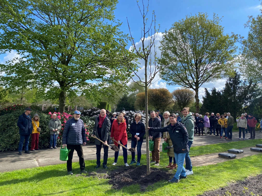 Pflanzung Baum des Jahres_01.jpg