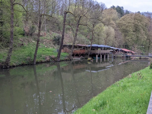 A calm river with green banks, trees and a covered wooden footbridge in the background, surrounded by dense woodland.