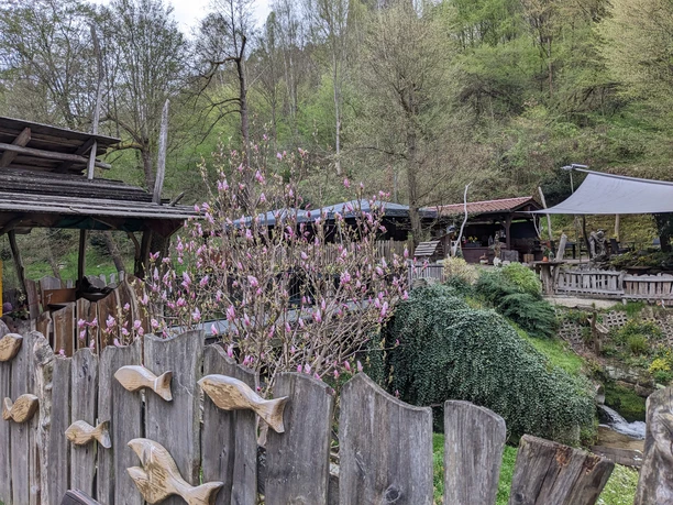 Wooden fence with carved fish, flowering magnolia tree and rustic buildings in a green, wooded setting.