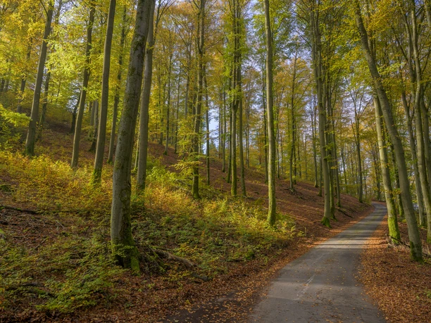 Herbststimmung bei Milchenbach