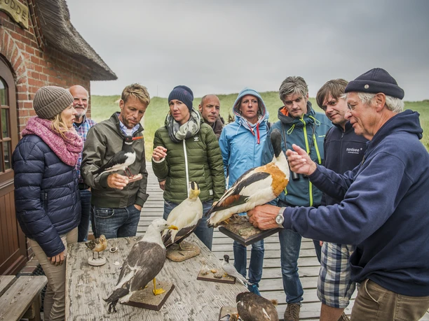 Amrum Vogelwarte_(c).Oliver Franke.jpg