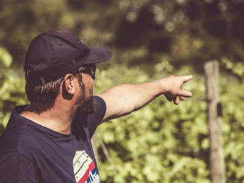 Bike u Wine_Keitum Weinberg_c_Wein Erlebnistouren Sylt.jpg