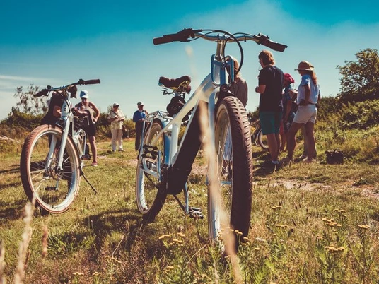 Bike u Wine_Weinberg Fahräder Sturmflotte 2_c_Wein Erlebnistouren Sylt.jpg