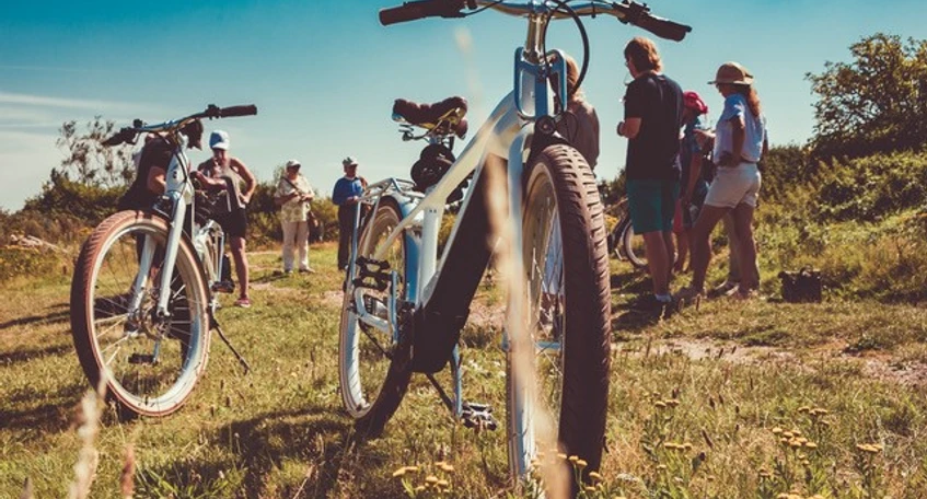 Bike u Wine_Weinberg Fahräder Sturmflotte 2_c_Wein Erlebnistouren Sylt.jpg