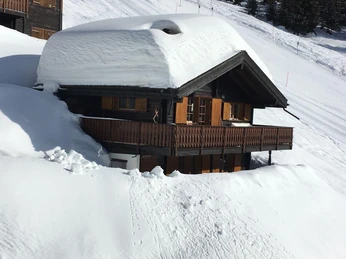 04A09788-8176-44D6-BA51-04863A40B767