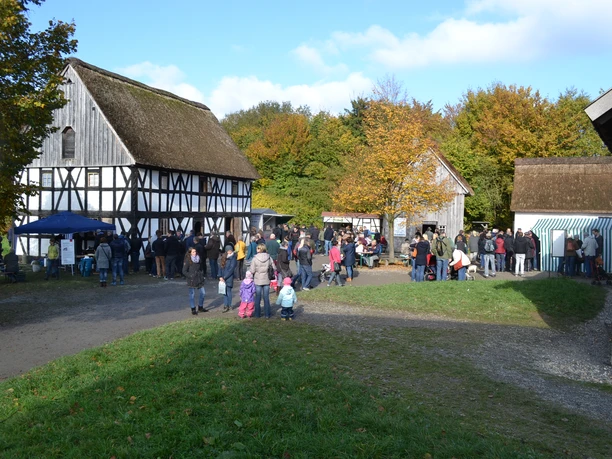 Herbststimmung beim Kartoffelfest im LVR-Freilichtmuseum Lindlar Menschenmenge bei einem Herbstfest im Freilichtmuseum, umgeben von historischen Fachwerkhäusern.