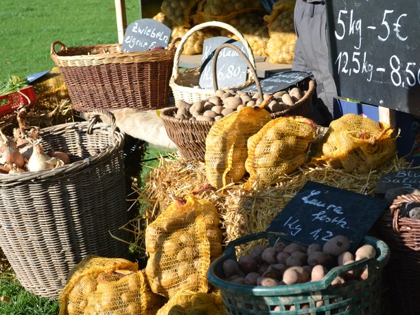 Beim Kartoffelfest werden auch Kartoffeln zum Kauf angeboten Verschiedene Körbe und Säcke mit Kartoffeln und Zwiebeln auf einem landwirtschaftlichen Marktstand.