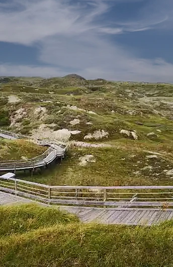 Thalassoplattform am Zuckerpad Thalassoplattform am ZuckerpadThalasso platform on the sugar padThalasso-platform på sukkerpudenThalasso-platform op het suikerkussen