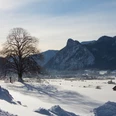 Wiesenlandschaft Wiesmahd Winterblick auf Laber, Kofel und Oberammergau, Thorsten Unseld.jpg