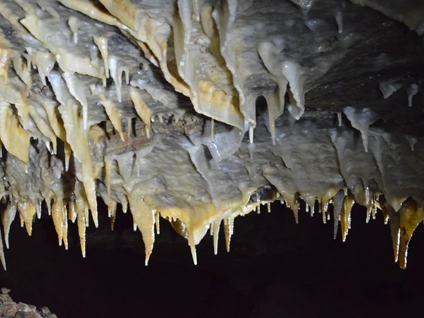 beginnende Tropfsteinformation