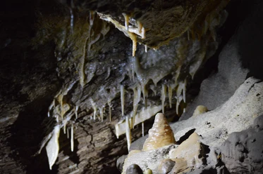 Drachenhöhle Syrau Tropfsteine