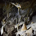 Drachenhöhle Syrau Tropfsteine