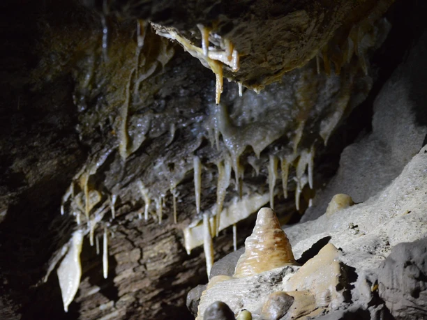 Drachenhöhle Syrau Tropfsteine