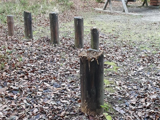 Drachenschwanz mit Rasthütte