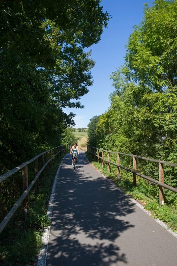 Radweg um Bad Köstritz