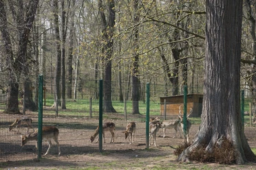 Tiergehege im Schlosspark von Bad Köstritz