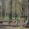 Tiergehege im Schlosspark von Bad Köstritz