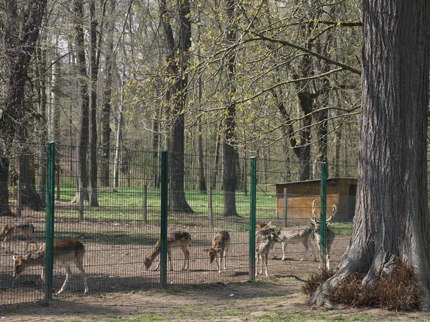 Tiergehege im Schlosspark von Bad Köstritz