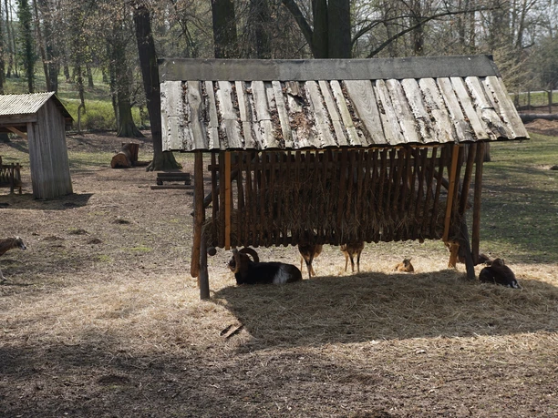 Tiergehege Bad Köstritz