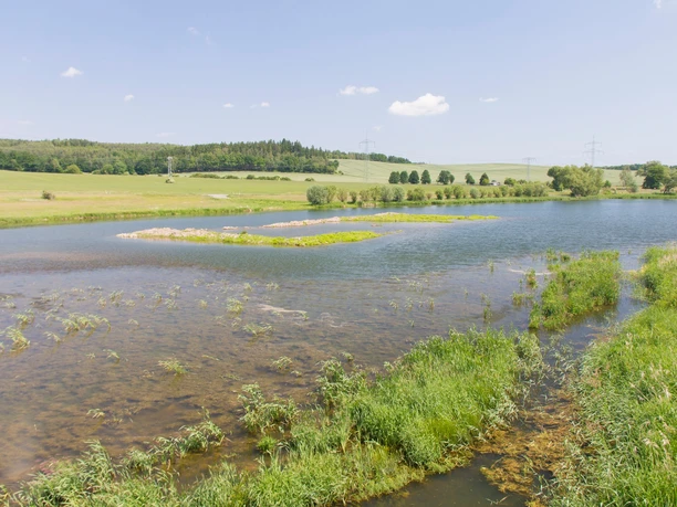 Friesnitzer See