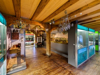 Innenansicht Bergmagazin