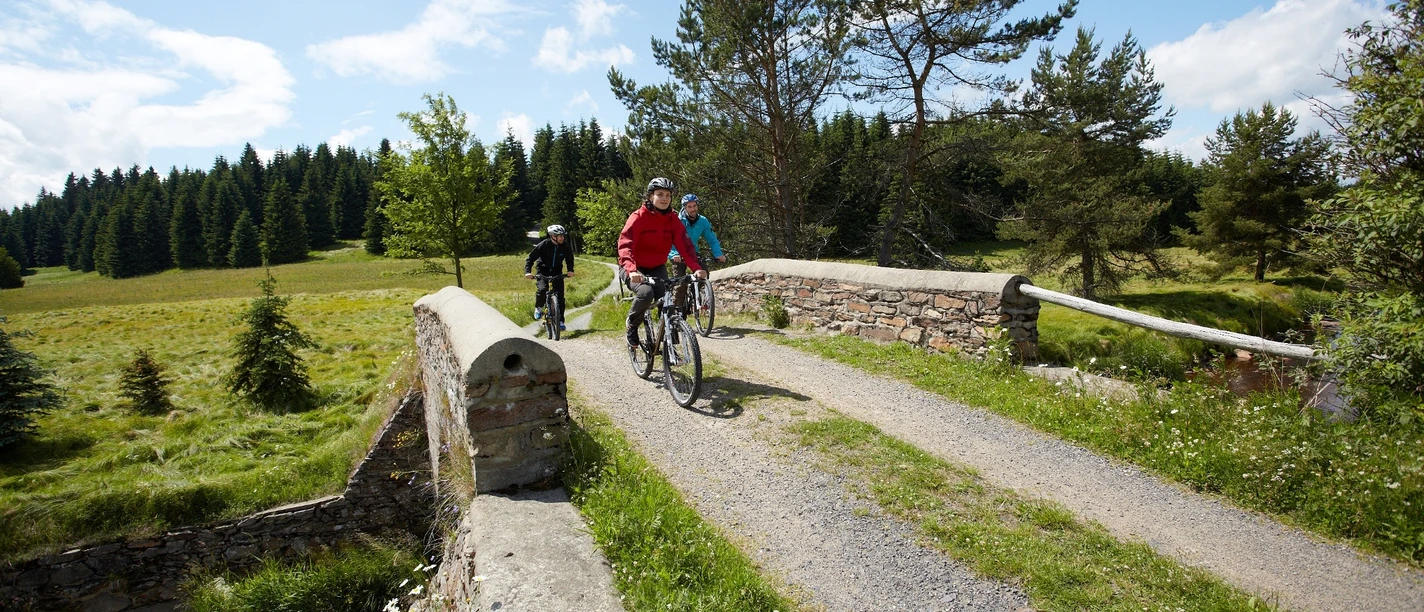 Am Neugrabenweg bei Pobershau Kühnhaide