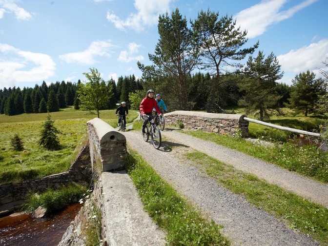 Am Neugrabenweg bei Pobershau Kühnhaide
