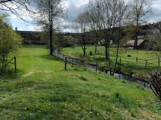 Feilebach mit Blick auf die Staumauer der Talsperre Dröda