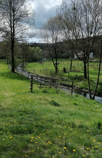 Feilebach mit Blick auf die Staumauer der Talsperre Dröda