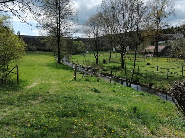 Feilebach mit Blick auf die Staumauer der Talsperre Dröda