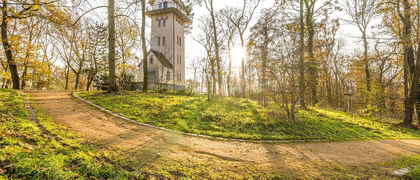 Aussichtsturm im Stadtpark Taucha