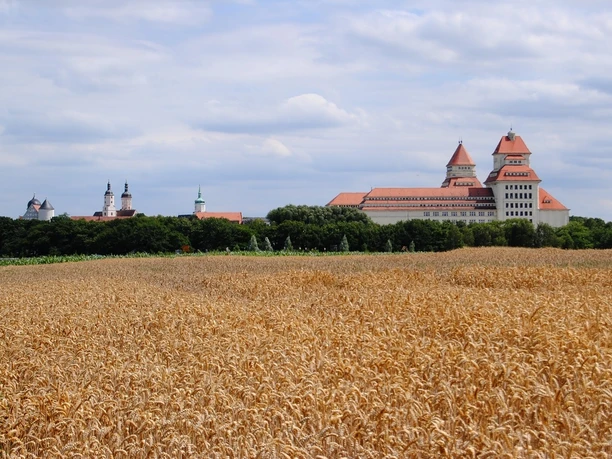 Wurzen Stadtansicht