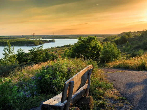 Blick auf den Störmthaler See