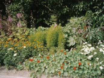 Führung im Botanischen Garten Großpösna
