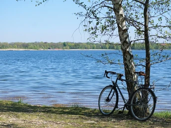 Westufer Cospudener See