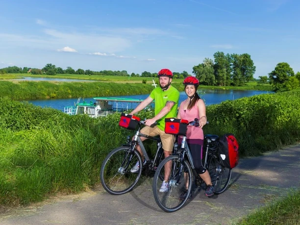 Elberadweg bei Belgern