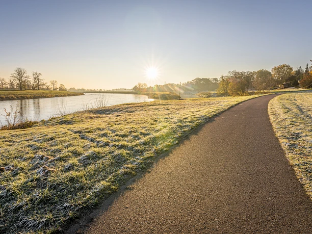 Der Elberadweg führt vorbei an Torgau