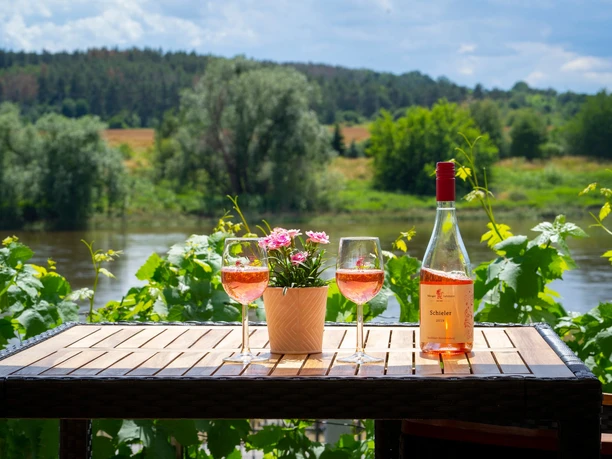 Elbblick vom Weingut Lehmann Elbblick vom Weingut Lehmann