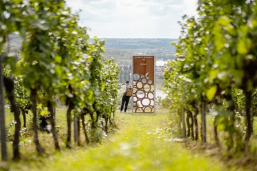 Stele "Schönste Weinsicht 2020" Diesbar-Seußlitz