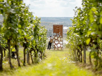 Stele "Schönste Weinsicht 2020" Diesbar-Seußlitz