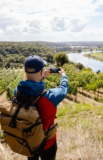 Weinsicht Diesbar-Seußlitz