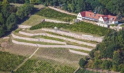 Bella Vista-Winzerhof Golk