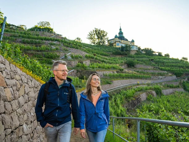 Wandern am Spitzhaus Radebeul