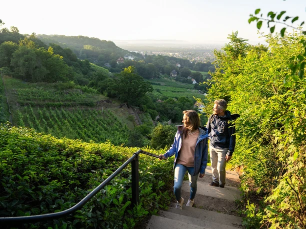 Wandern am Spitzhaus Radebeul